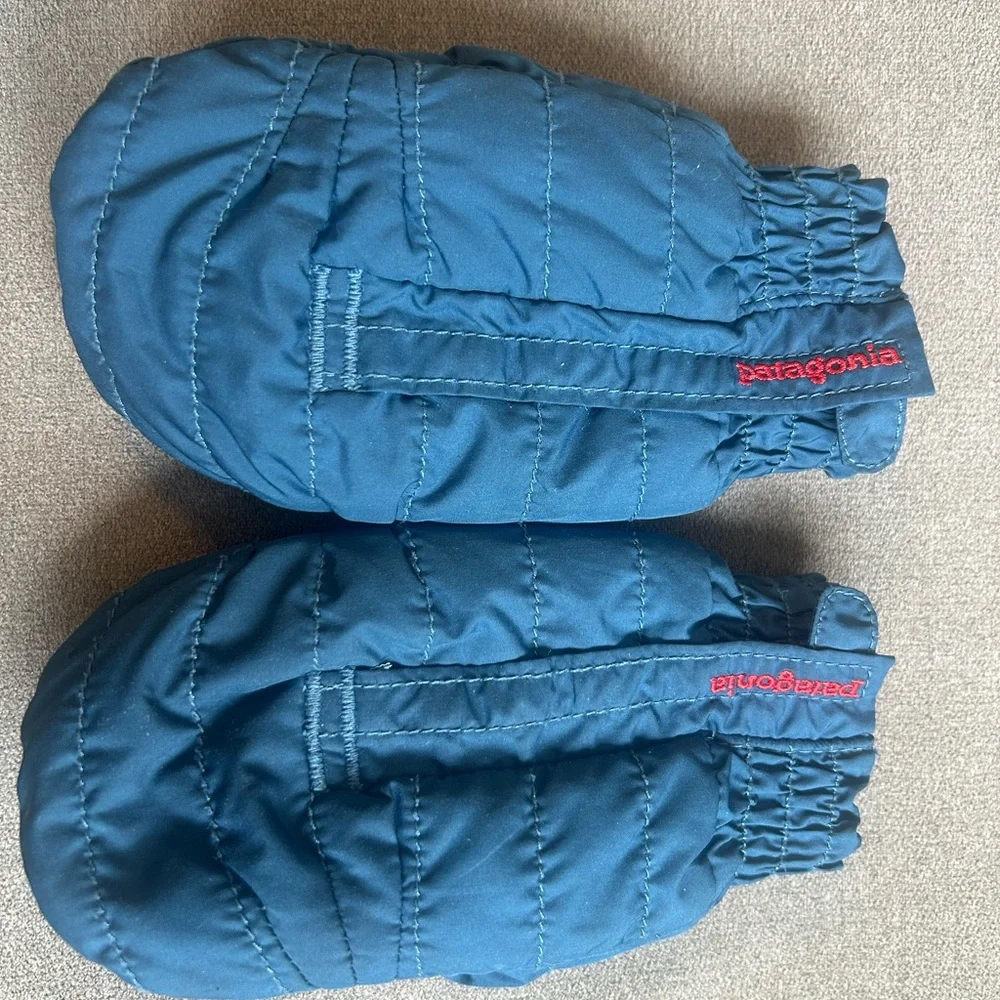 Patagonia Toddler 2/3 Teal Mittens